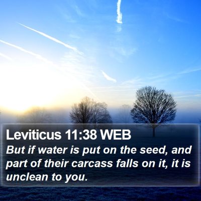 Leviticus 11:38 WEB Bible Verse Image