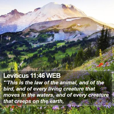 Leviticus 11:46 WEB Bible Verse Image