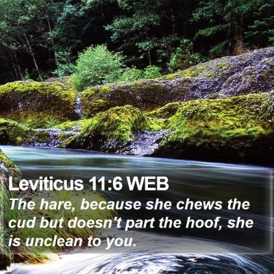 Leviticus 11:6 WEB Bible Verse Image