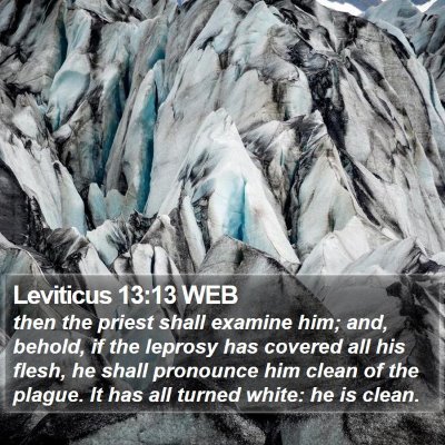 Leviticus 13:13 WEB Bible Verse Image