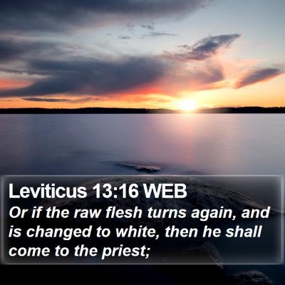 Leviticus 13:16 WEB Bible Verse Image