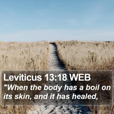 Leviticus 13:18 WEB Bible Verse Image