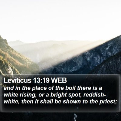 Leviticus 13:19 WEB Bible Verse Image