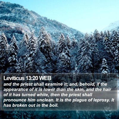 Leviticus 13:20 WEB Bible Verse Image