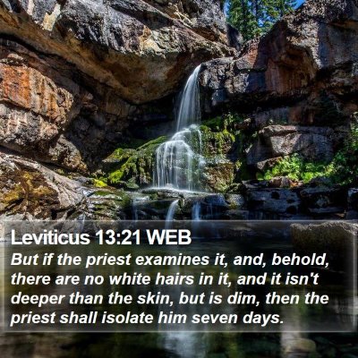 Leviticus 13:21 WEB Bible Verse Image