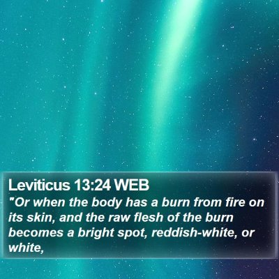 Leviticus 13:24 WEB Bible Verse Image
