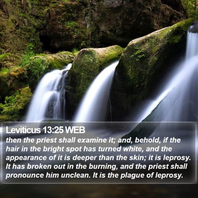 Leviticus 13:25 WEB Bible Verse Image