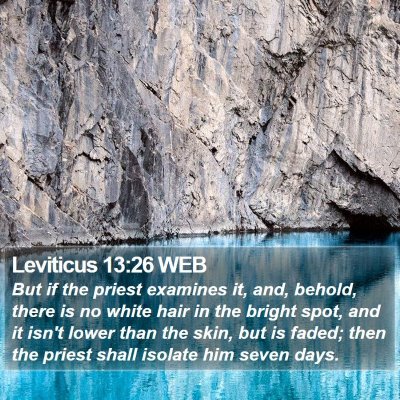 Leviticus 13:26 WEB Bible Verse Image