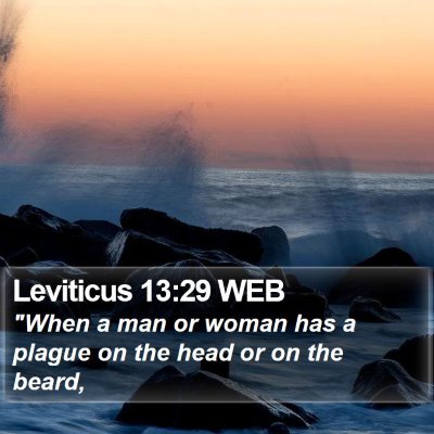 Leviticus 13:29 WEB Bible Verse Image