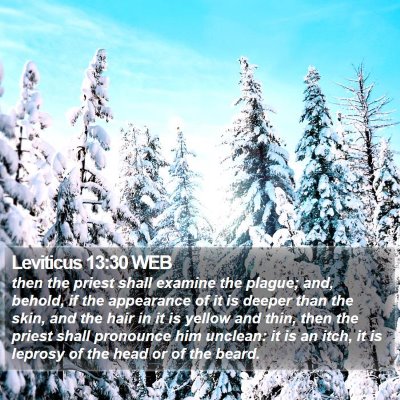 Leviticus 13:30 WEB Bible Verse Image