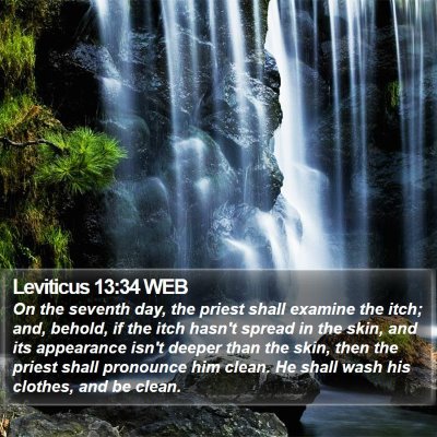 Leviticus 13:34 WEB Bible Verse Image