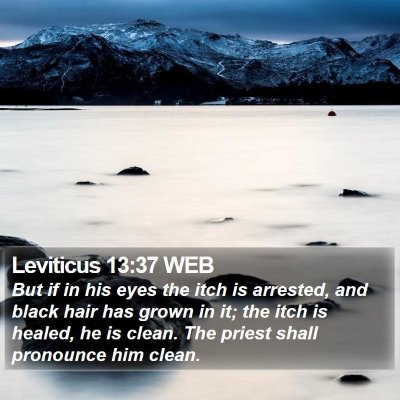 Leviticus 13:37 WEB Bible Verse Image