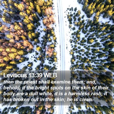Leviticus 13:39 WEB Bible Verse Image