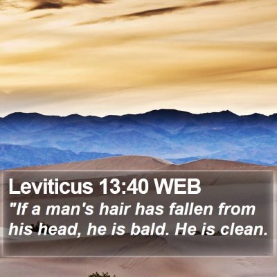 Leviticus 13:40 WEB Bible Verse Image