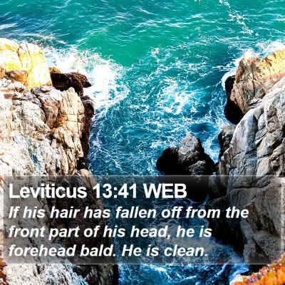 Leviticus 13:41 WEB Bible Verse Image