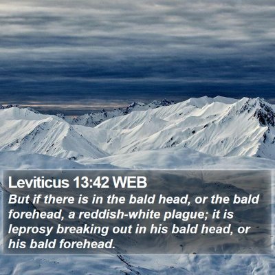 Leviticus 13:42 WEB Bible Verse Image