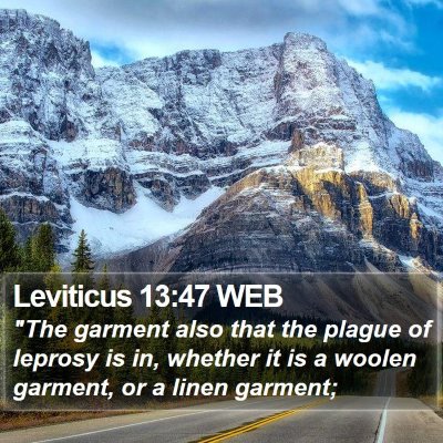 Leviticus 13:47 WEB Bible Verse Image