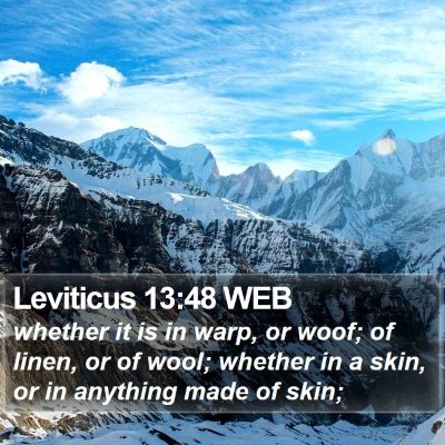 Leviticus 13:48 WEB Bible Verse Image