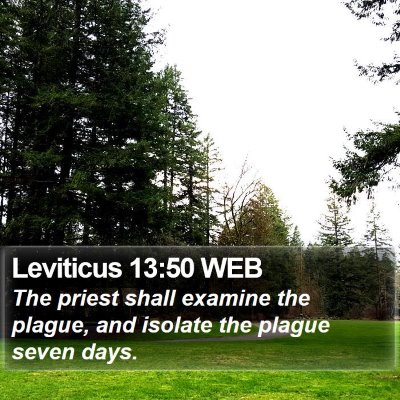 Leviticus 13:50 WEB Bible Verse Image