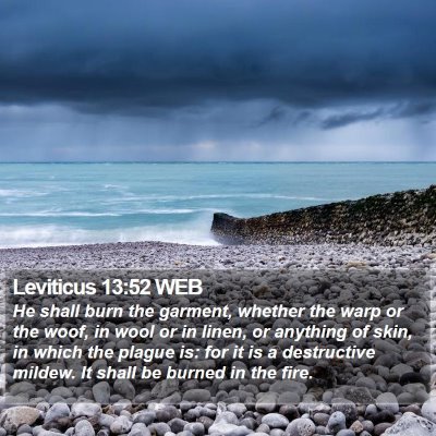 Leviticus 13:52 WEB Bible Verse Image