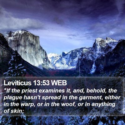 Leviticus 13:53 WEB Bible Verse Image