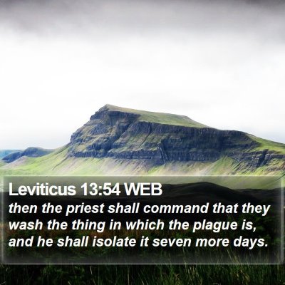 Leviticus 13:54 WEB Bible Verse Image
