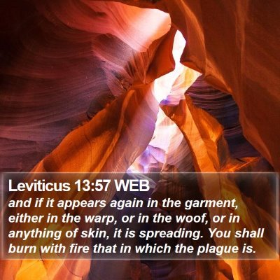 Leviticus 13:57 WEB Bible Verse Image