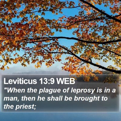 Leviticus 13:9 WEB Bible Verse Image