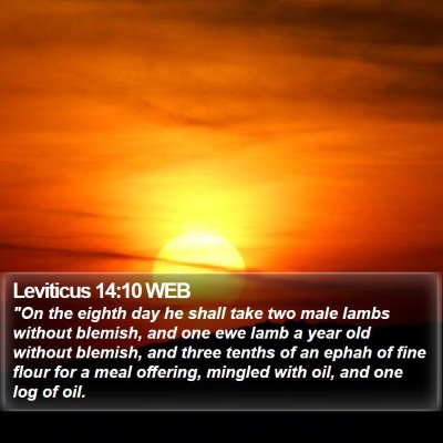 Leviticus 14:10 WEB Bible Verse Image