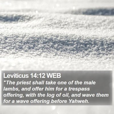 Leviticus 14:12 WEB Bible Verse Image