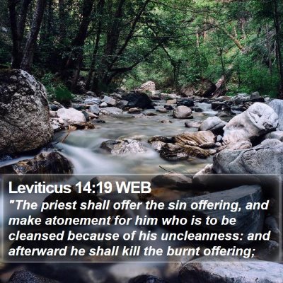 Leviticus 14:19 WEB Bible Verse Image