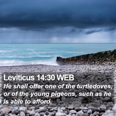Leviticus 14:30 WEB Bible Verse Image