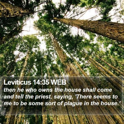 Leviticus 14:35 WEB Bible Verse Image