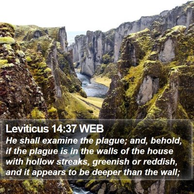Leviticus 14:37 WEB Bible Verse Image