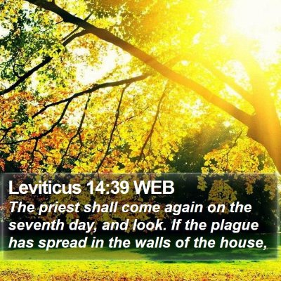 Leviticus 14:39 WEB Bible Verse Image