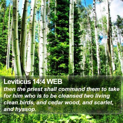 Leviticus 14:4 WEB Bible Verse Image