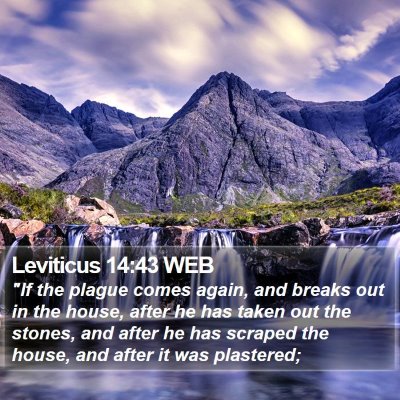 Leviticus 14:43 WEB Bible Verse Image