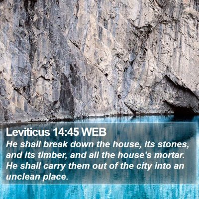 Leviticus 14:45 WEB Bible Verse Image