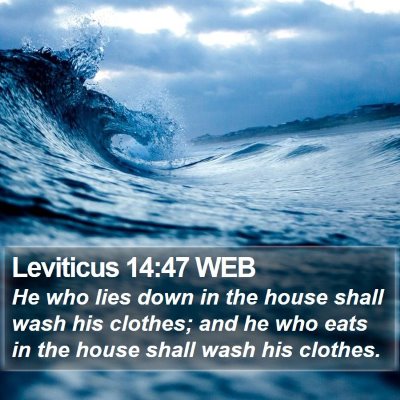 Leviticus 14:47 WEB Bible Verse Image