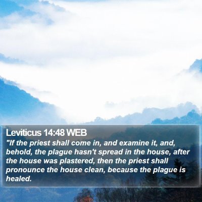 Leviticus 14:48 WEB Bible Verse Image