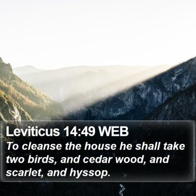 Leviticus 14:49 WEB Bible Verse Image