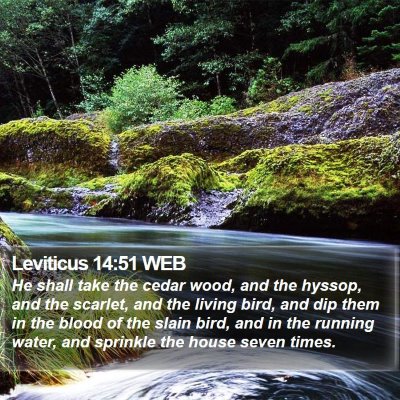Leviticus 14:51 WEB Bible Verse Image