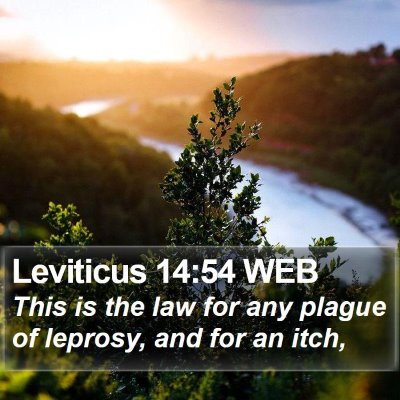 Leviticus 14:54 WEB Bible Verse Image