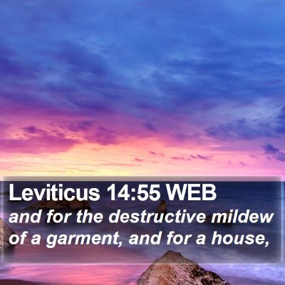 Leviticus 14:55 WEB Bible Verse Image
