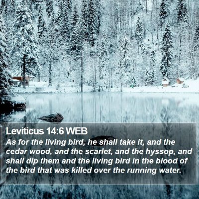 Leviticus 14:6 WEB Bible Verse Image