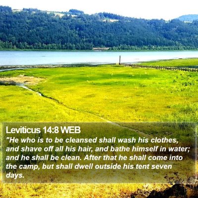 Leviticus 14:8 WEB Bible Verse Image