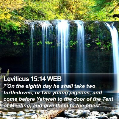 Leviticus 15:14 WEB Bible Verse Image