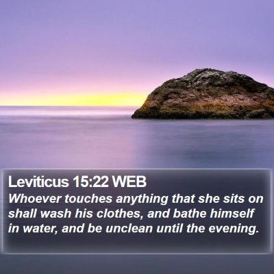 Leviticus 15:22 WEB Bible Verse Image