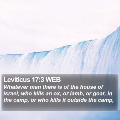 Leviticus 17:3 WEB Bible Verse Image