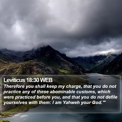 Leviticus 18:30 WEB Bible Verse Image